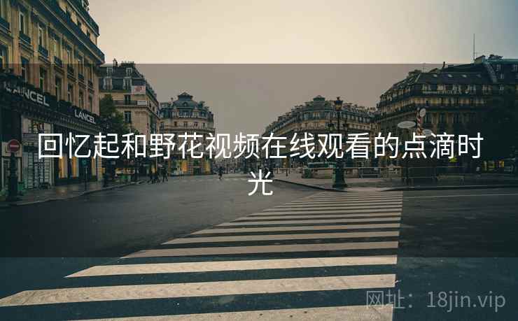 回忆起和野花视频在线观看的点滴时光 第1张 回忆起和野花视频在线观看的点滴时光 第1张