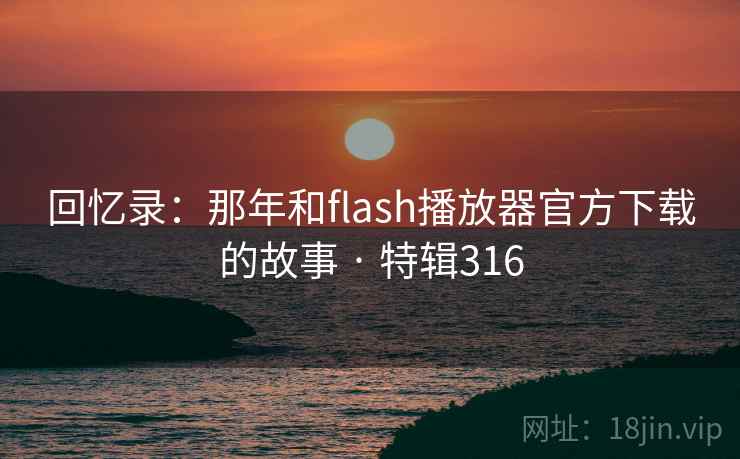 回忆录：那年和flash播放器官方下载的故事 · 特辑316  第2张